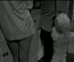 Edie Adams, Love With the Proper Stranger