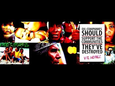 how to help the amazon