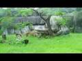 CLIP0053