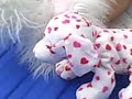 webkinz news the movie foofoo\ webkinz news the movie foofoo\