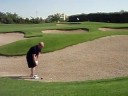 Four Seasons01.AVI