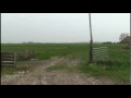 Come along for a visit to a working dairy farm in Friesland Holland near the small town of Makkum. Owned by Auke and Teatske Anna you might be suprised to see just what we found in the fields.