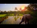 From our world to yours - Australia Network Promo