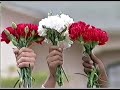 Video Musical - Artistas Criollos cantándole al Perú
