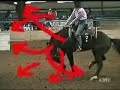 horseback ridings ups and downs horseback ridings ups and downs