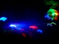 Party-in-Dream-S-Clu