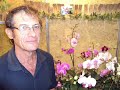 Orquídeas do Orquidário Sperandio de Santa Teresa, ES, na GranExpoEs 2009. Carapina Serra ES. Orquídeas do Orquidário Sperandio de Santa Teresa, ES, na GranExpoEs 2009. Carapina Serra ES. Vídeo do Poeta Trovador e Escritor Clério José Borges, autor do Livro História da Serra, Serra, ES Brasil.