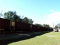 Loaded Coal