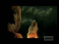 Amensty - David Hicks