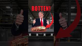 The Meat You’re Eating Is Unsafe