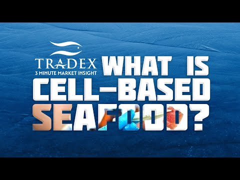 3MMI - What is Cell-Based Seafood?