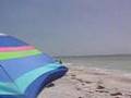 Day at the Beach II