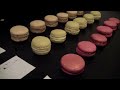 Macarons Parisiens inratable + FAQ!!