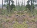 Liisunkallio trip