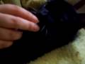 videos de Leo comiendose un quesito