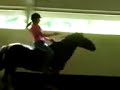 Jumping Odo without saddle or bridle