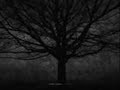 the living sacrifice song 
