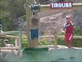aqualandia papa ostion