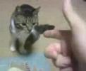 Imagen de previsualización de YouTube