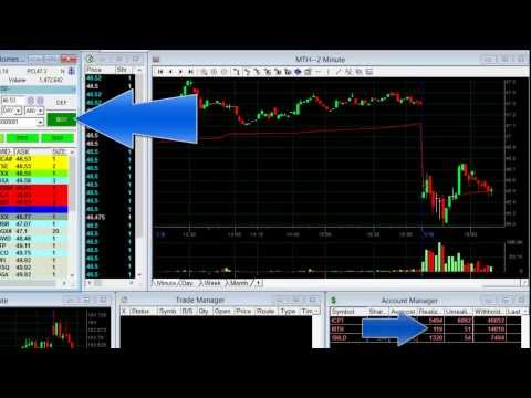 Day Trading for $13,436 in one hour! – Meir Barak