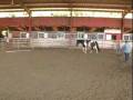 Equine Observations in Maui - Part 2 with Anna Twinney