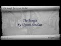 Chapter 25 - The Jungle by Upton Sinclair