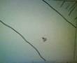 videos de Josef Linerider2