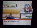 Pokemon Battle #8 jcfern55 vs Amelle Pokemon Battle #8 jcfern55 vs Amelle