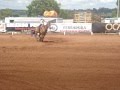 videos de Maria Fernanda Zola Peres - prova tres tambores - Haras