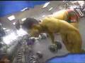 Bodybuilder-Al-Escob