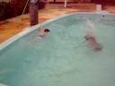 Gabriel Sousa na piscina do sítio Gabriel Sousa na piscina do sítio