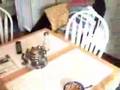 Poltergeist activity