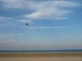 videos de The Mighty Bug in Gusty Winds
