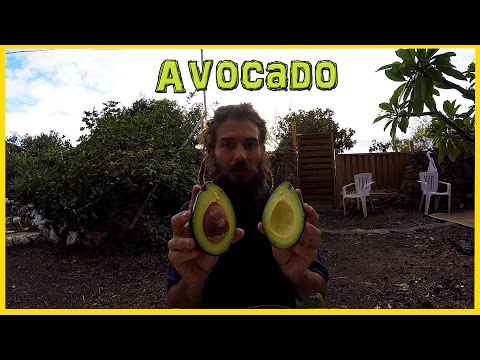 how to know avocado is good