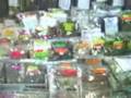 Warorot Market in Chiang Mai Thailand