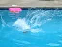 Andersen Goes Off The Diving Board