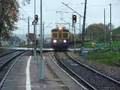 PKP
