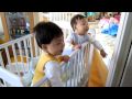 MVI_0955.MOV