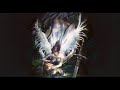 EL SALVADOR RAP Yano sigas llorando jackelin vasquez ft The White Soldier 503