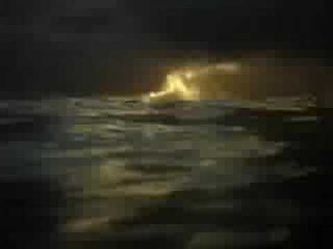 Tonga Surf Trip