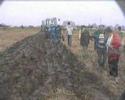 Jeunes agriculteurs du Nord : Labour 2007
