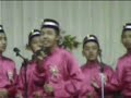 Johan Perak 2006