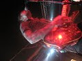 From First To Last-Note To Self(live) From First To Last-Note To Self(live)