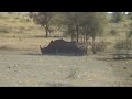 Afrique du Sud 2008: Safari au Kruger Park (1/3)