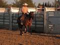 videos de SKRRC Practice Ropings and Clinics 2008
