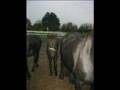 videos de miss jee add myn kleine 20-11-2008  vergeet je n0oiit schaat.WMV