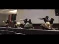 SNTV: Unity of Christ  Praise Dance Ministry UIC M.A.A.F.A.