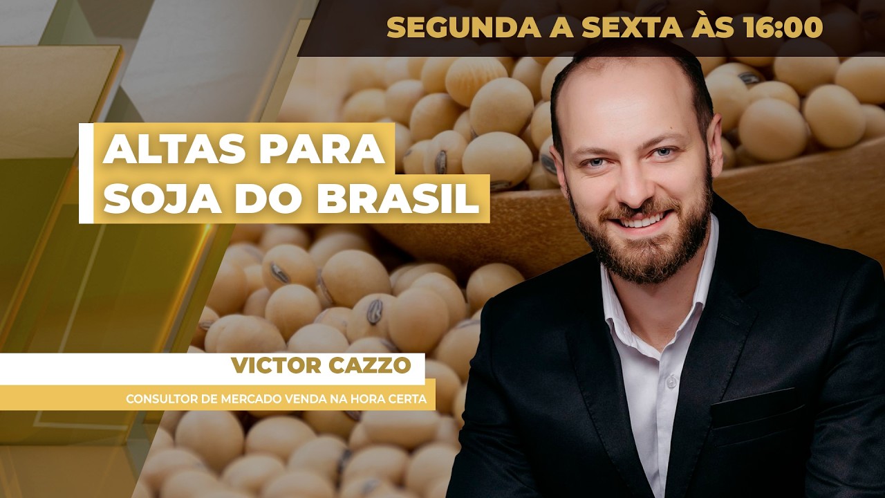 Preços da soja ao produtor brasileiro têm semana positiva e de avanço dos negócios