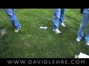 David Lehre + Vendetta TV PILOT: ROUND 2!  Video #2.