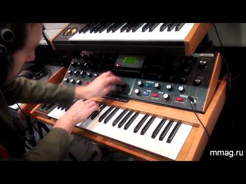 moog minimoog